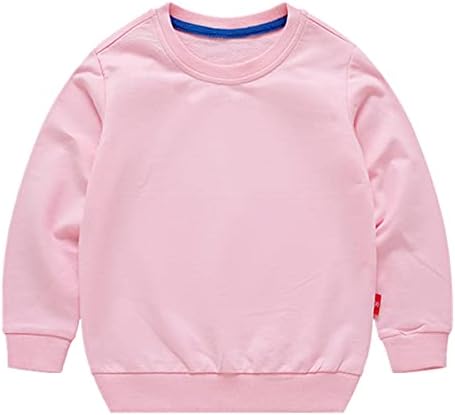 AdaliaFaye Boys Crewneck Sweatshirt for Kids Kids - Toddler Classification