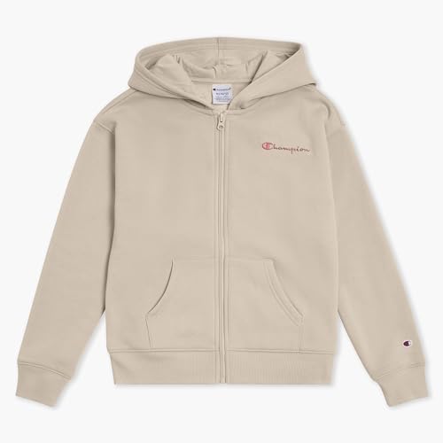 Stylish Champion Hoodie