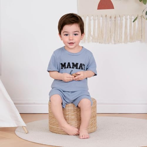 FOCUSNORM Embroidered toddlers boys summer set