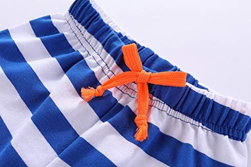 Mud Kingdom Little Boys Shorts Set Beach Outfits