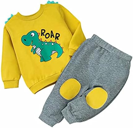 Kids Dinosaur Long Sleeve Sweater Set