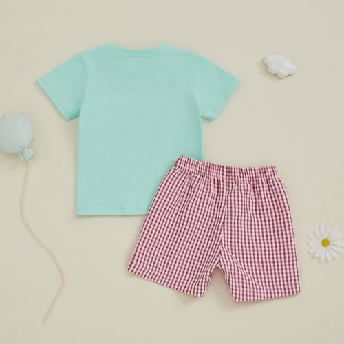 Engofs Boys Summer Shorts Sets - Trendy Toddler Outfit with Fruit Embroidery
