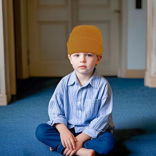 2 Pack Toddler Beanies for Babies Dual-Layer Warmness Soft Stretchy Unisex