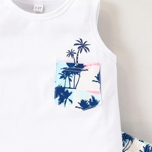 Adorable Toddler Summer Outfit Set for Boys