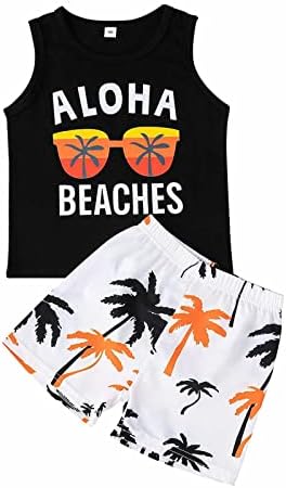 Summer Toddler Boys Clothing Set