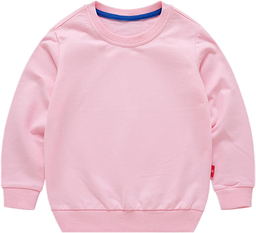 AdaliaFaye Boys Crewneck Sweatshirt for Kids Kids - Toddler Classification