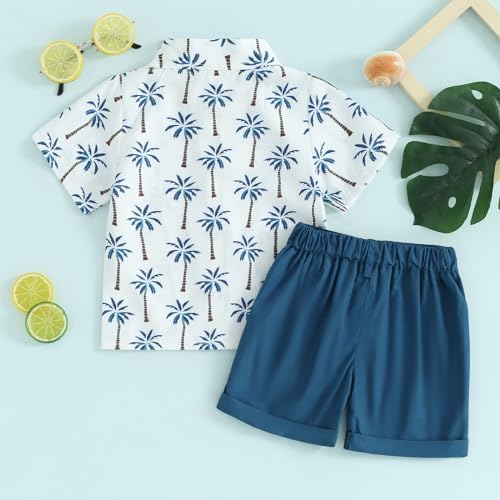 Dewadbow tropical paradise short sleeve shirt shorts for boys