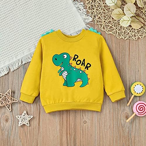 Kids Dinosaur Long Sleeve Sweater Set