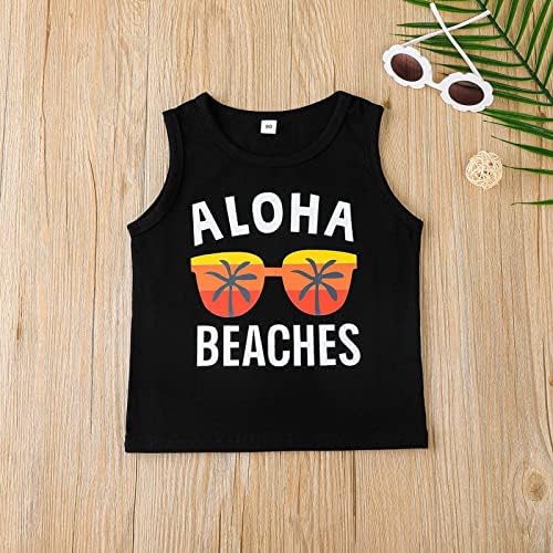 Summer Toddler Boys Clothing Set