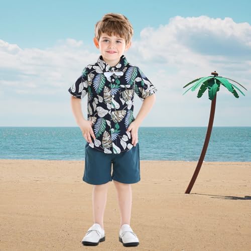 Delighted Toddler Shorts Sets