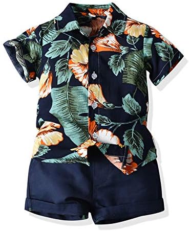 Delighted Toddler Shorts Sets