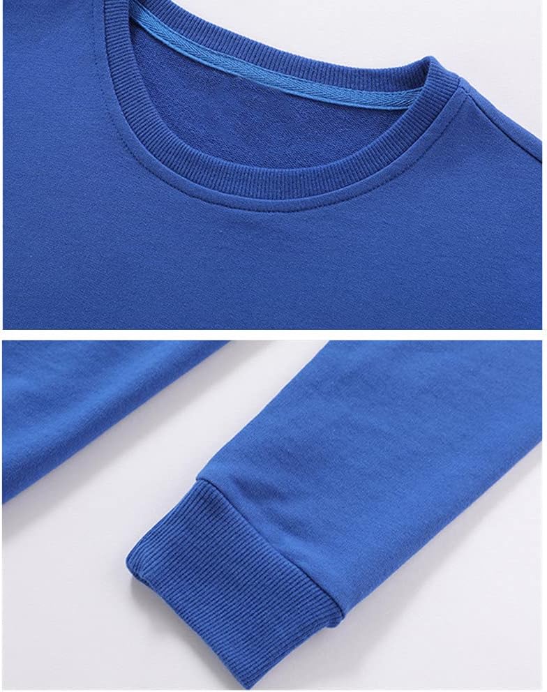 AdaliaFaye Boys Crewneck Sweatshirt for Kids Kids - Toddler Classification