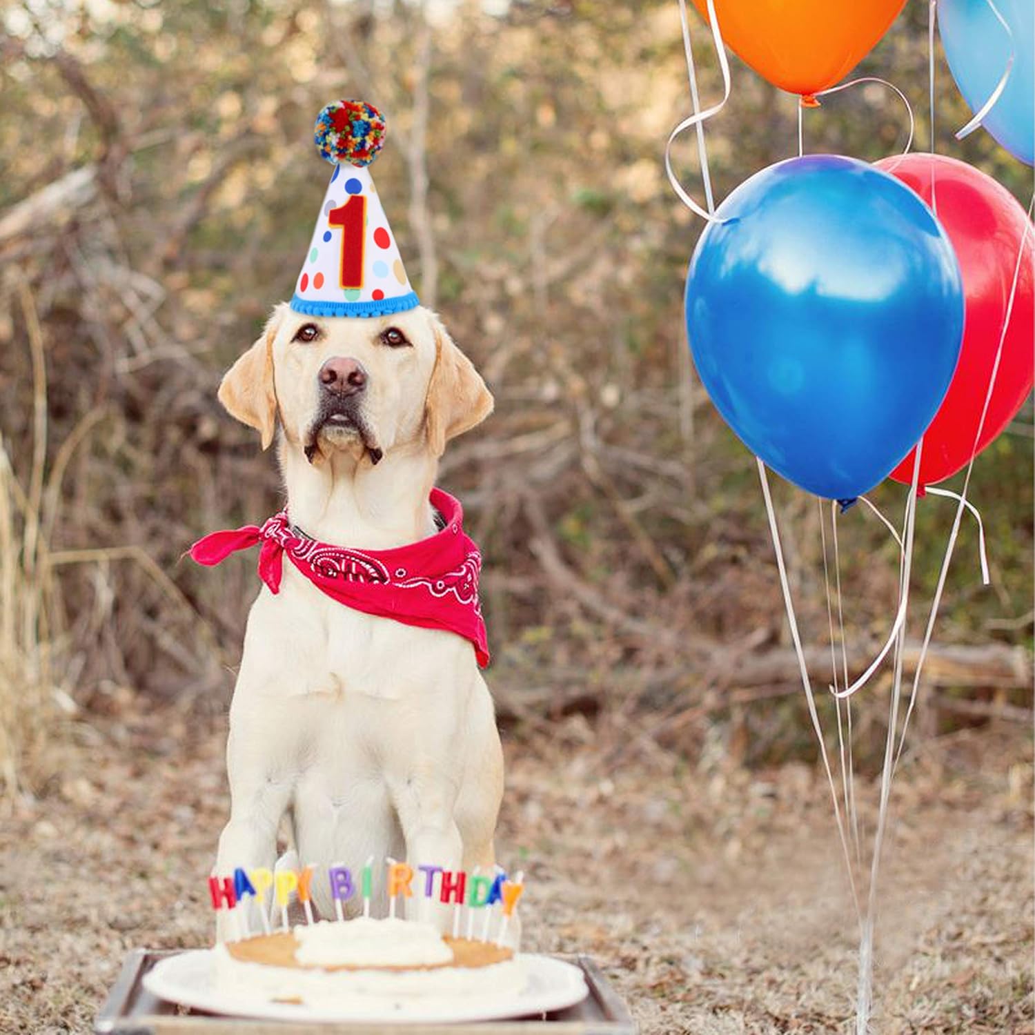 Wahawa 1st Birthday Confetti Cone Hat